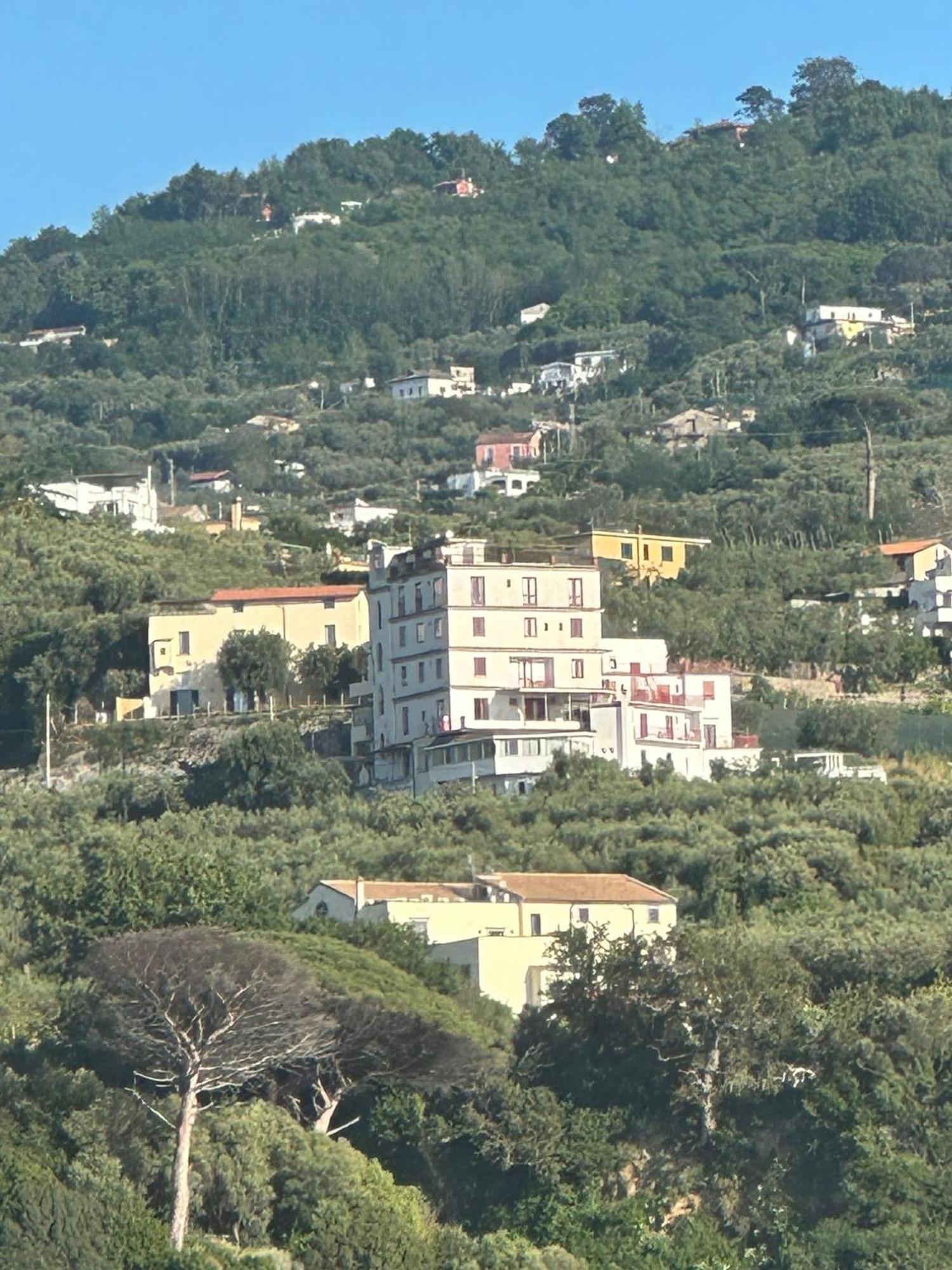 Hotel Dania ソレント エクステリア 写真